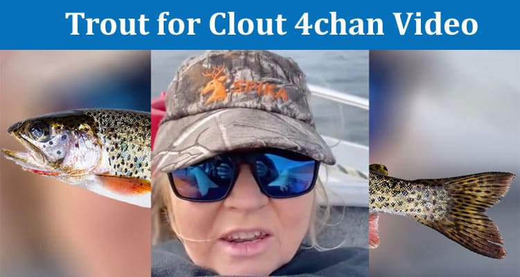Latest News Trout for Clout 4chan Video