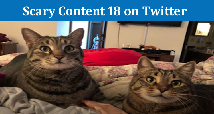 Latest News Scary Content 18 on Twitter