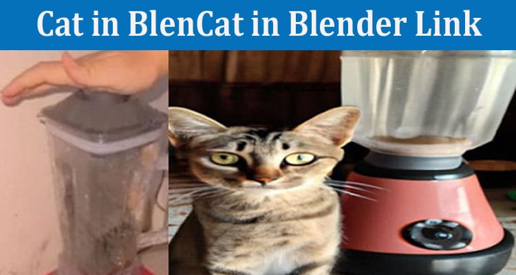 Latest News Cat in Blender Link